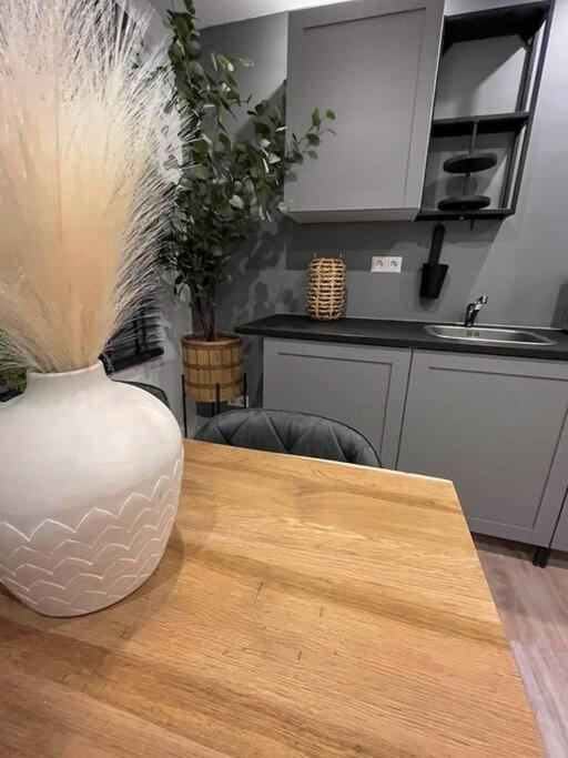 Gezellig Appartement, Gerenoveerd Eind 2022 ติลเบิร์ก ภายนอก รูปภาพ